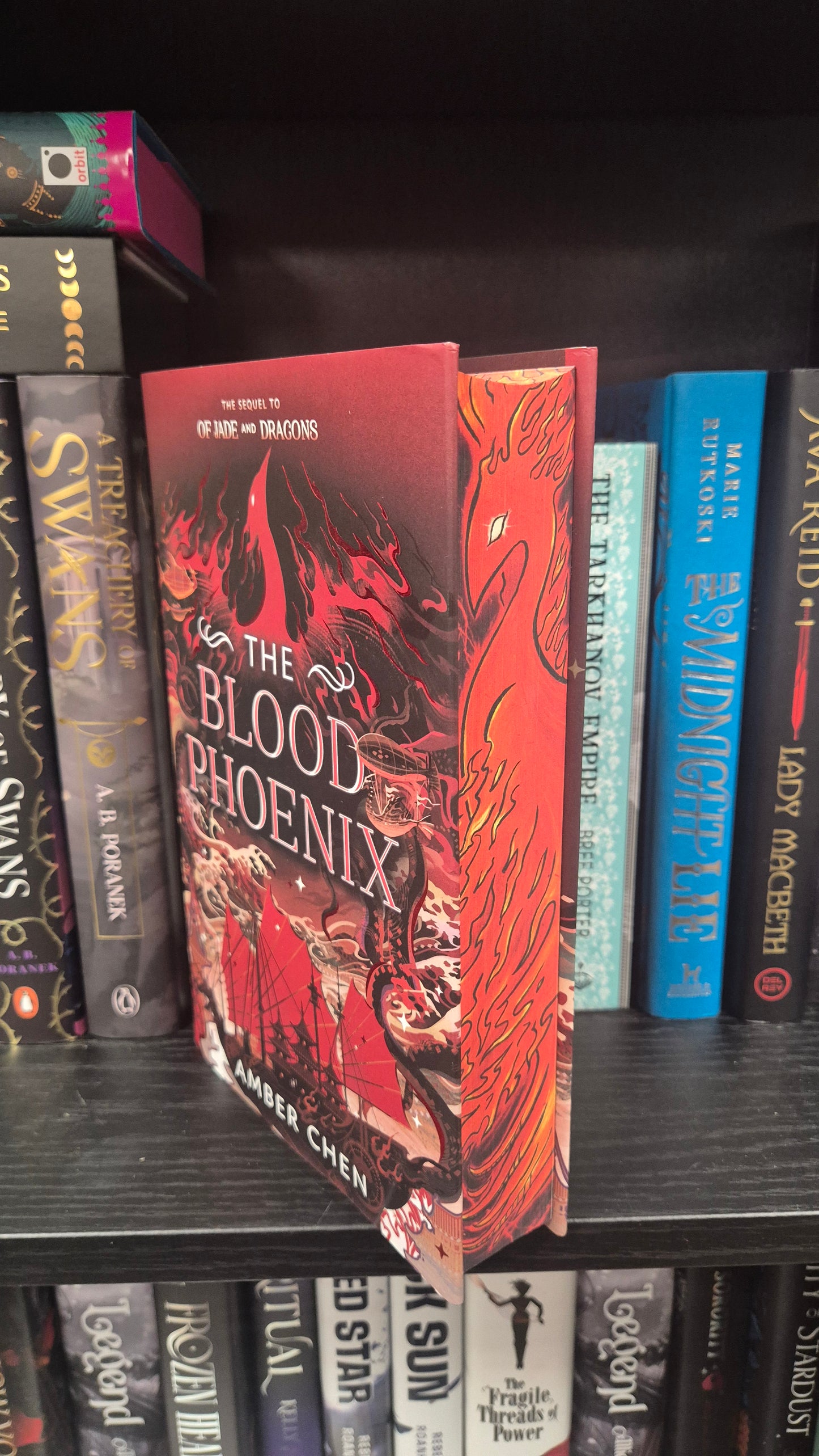 The Blood Phoenix | Amber Chen | Illumicrate