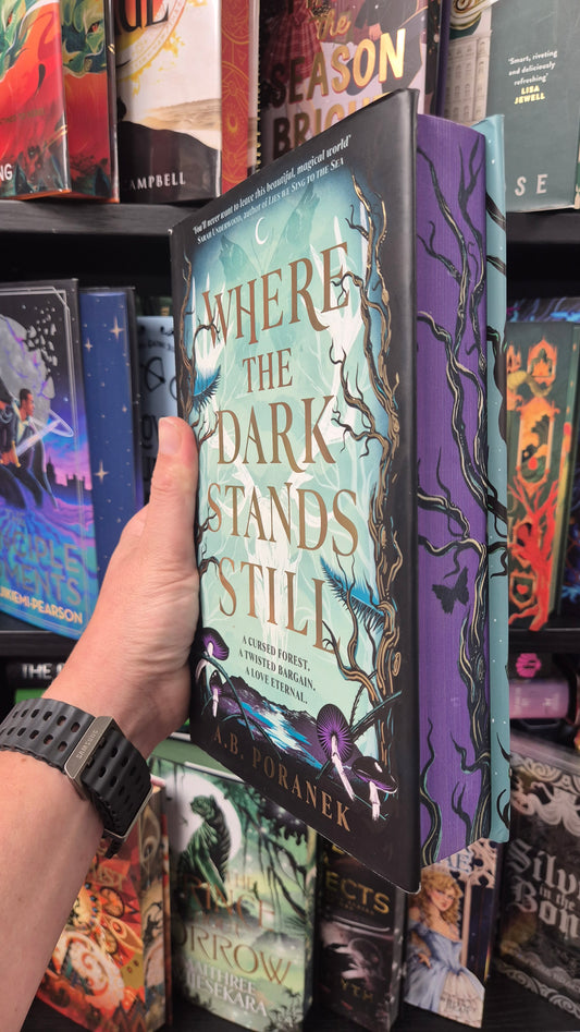 Where The Dark Stands Still - A B Poranek