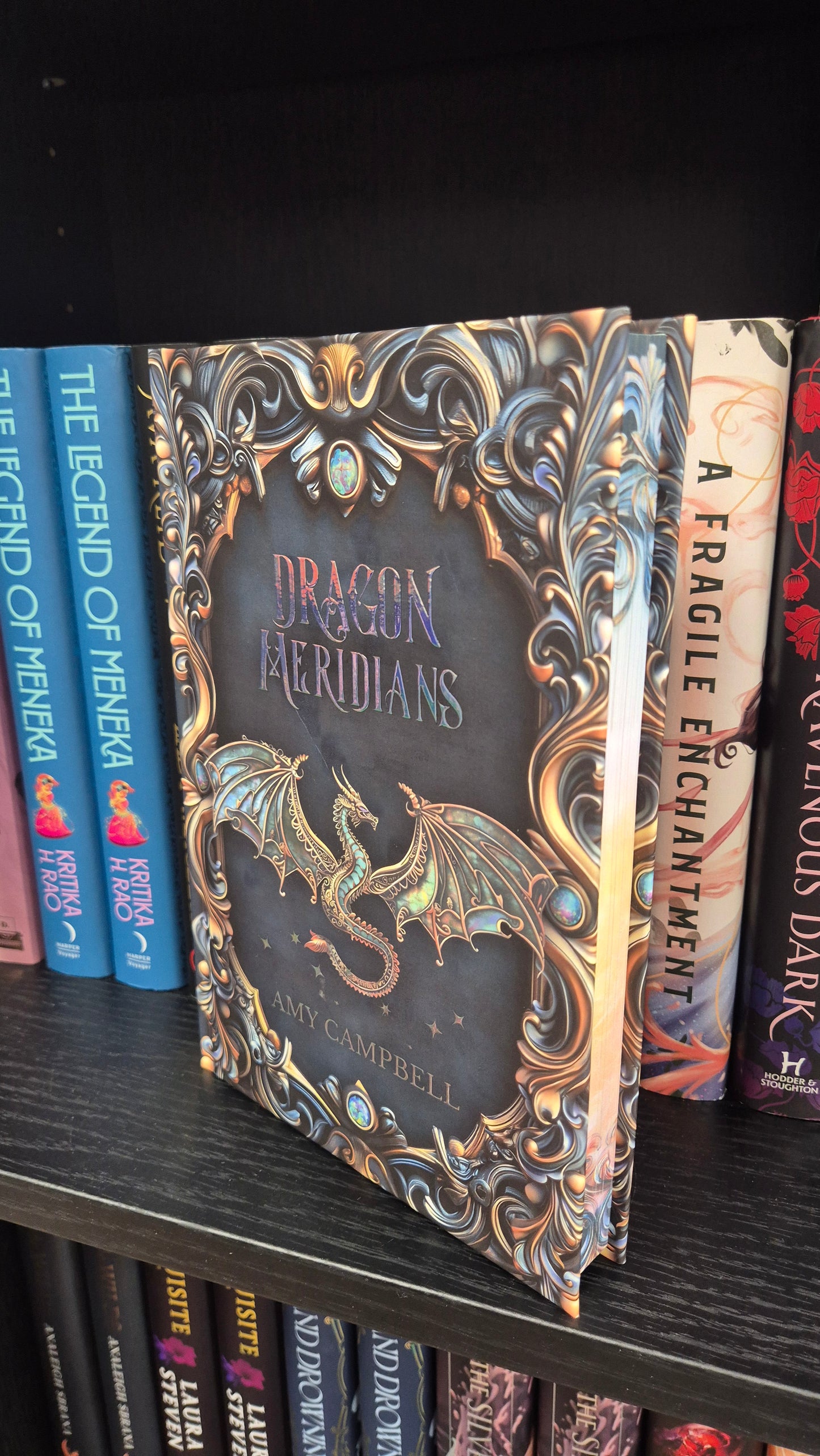 Dragon Meridians | Amy Campbell