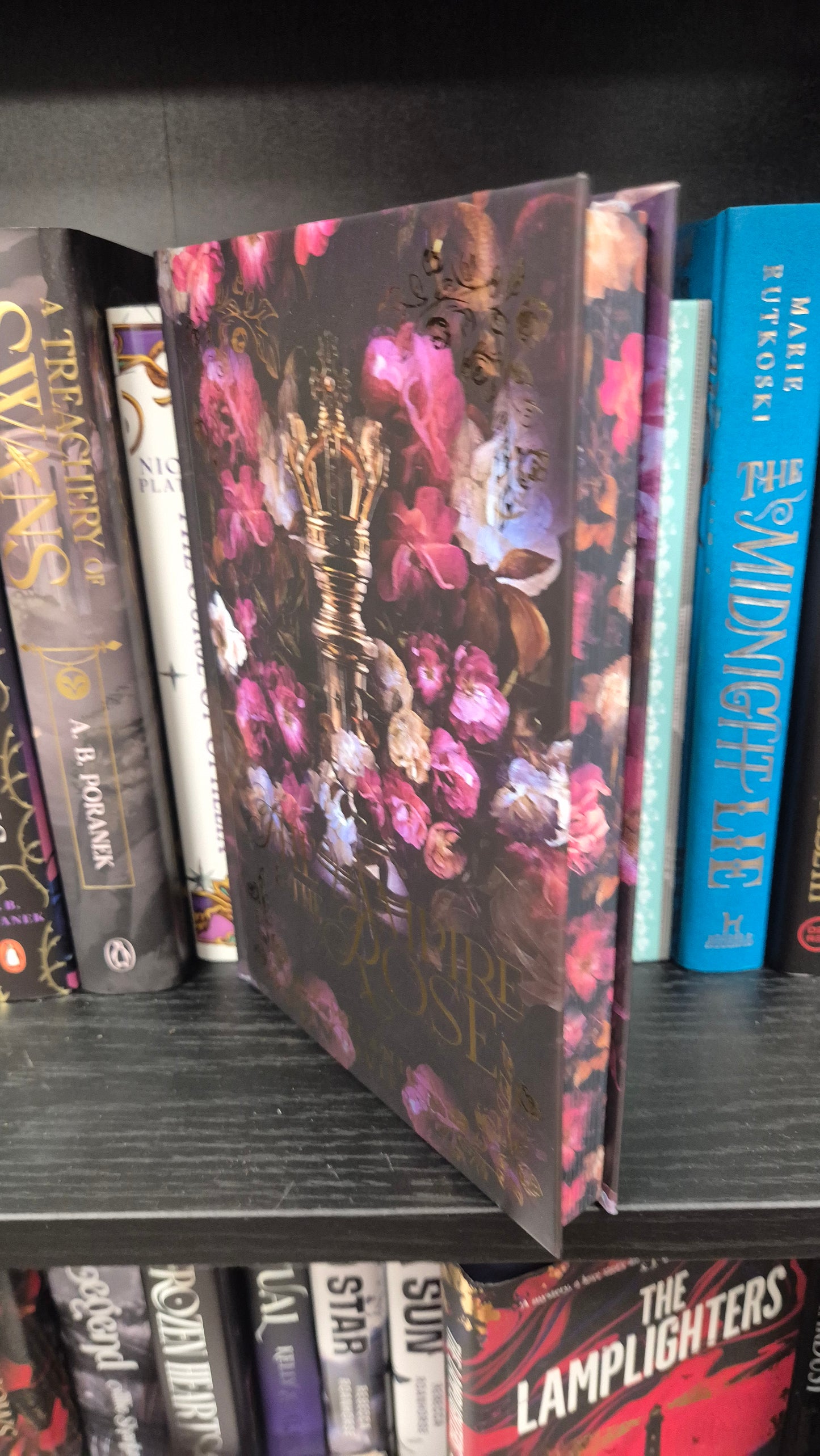 The Vampire and The Rose | Melanie Davies