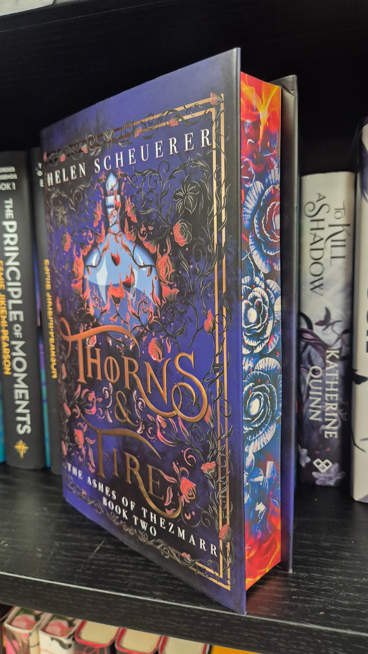 Thorns & Fire | Helen Scheuerer