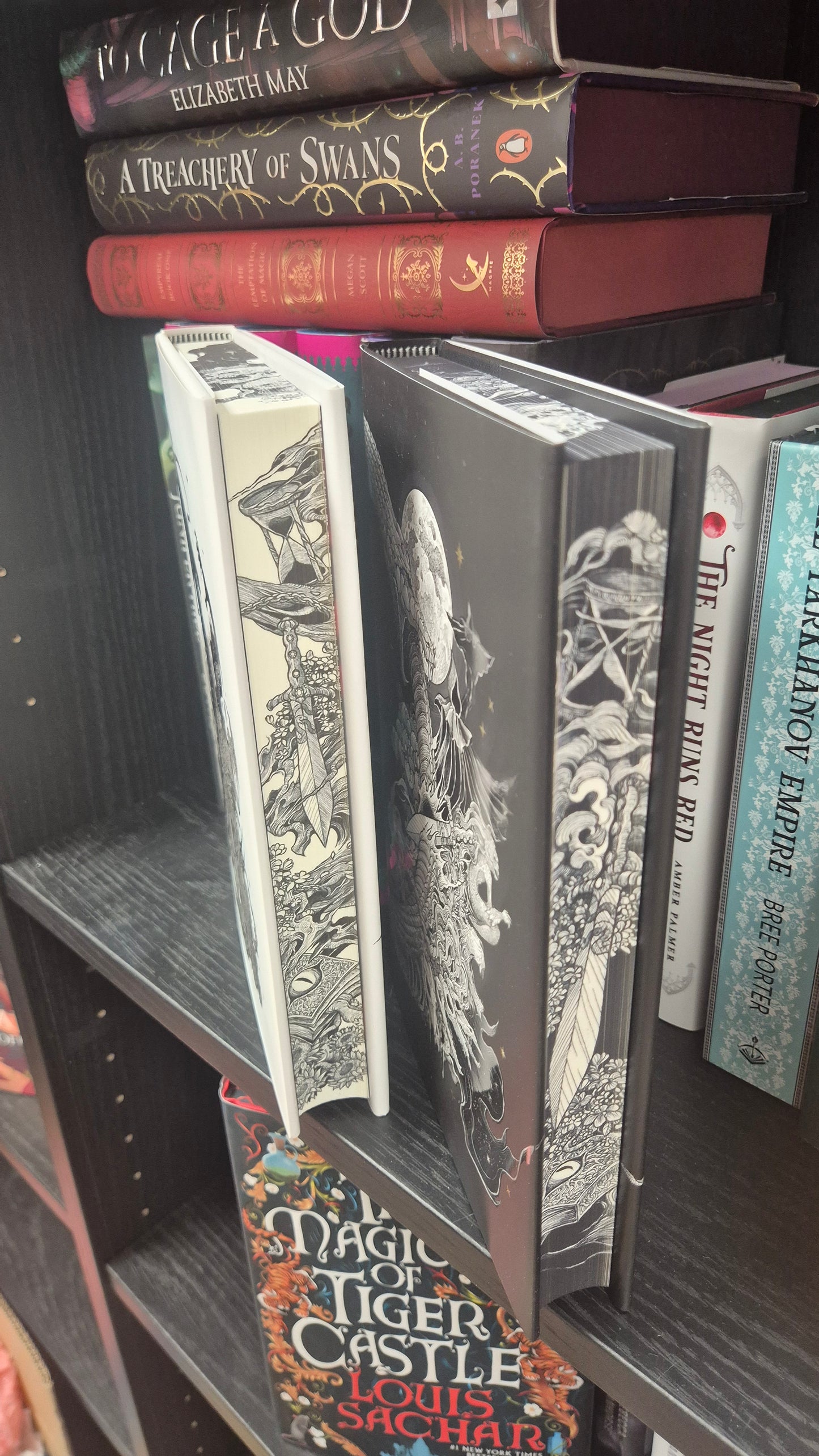 H.E. Edgmon Gods & Monsters Duology | Illumicrate Exclusive Editions | Brand New